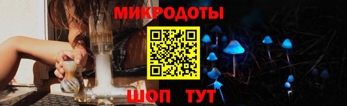 Псилоцибиновые грибы Psilocybine cubensis Арсеньев